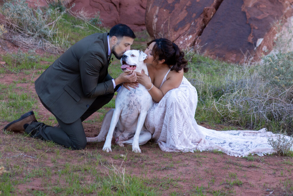 bride and groom kneeling down to kiss their black and white dog during their elopement